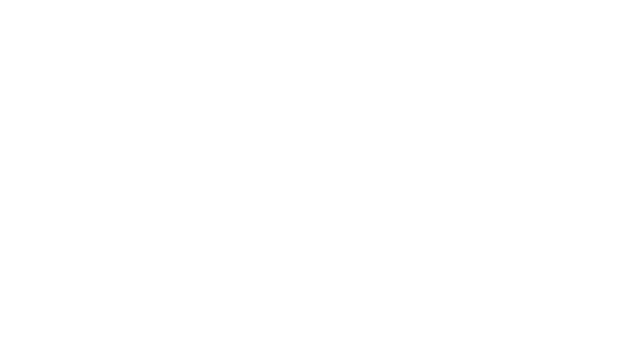 White bird with outstretched wings